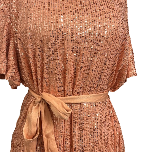 Lost in the 🔥 
NWT LC Lauren Conrad Shimmering Peach Sequined Minidress - Picture 3 of 7